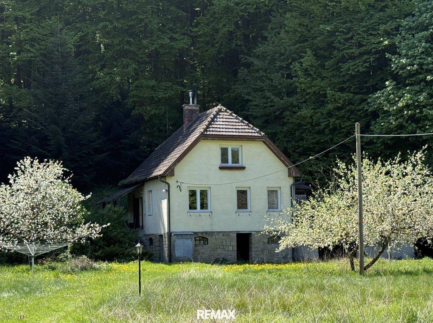 Freistehendes Haus mit traditionellem Satteldach, umgeben von blühenden Bäumen und üppiger Natur.