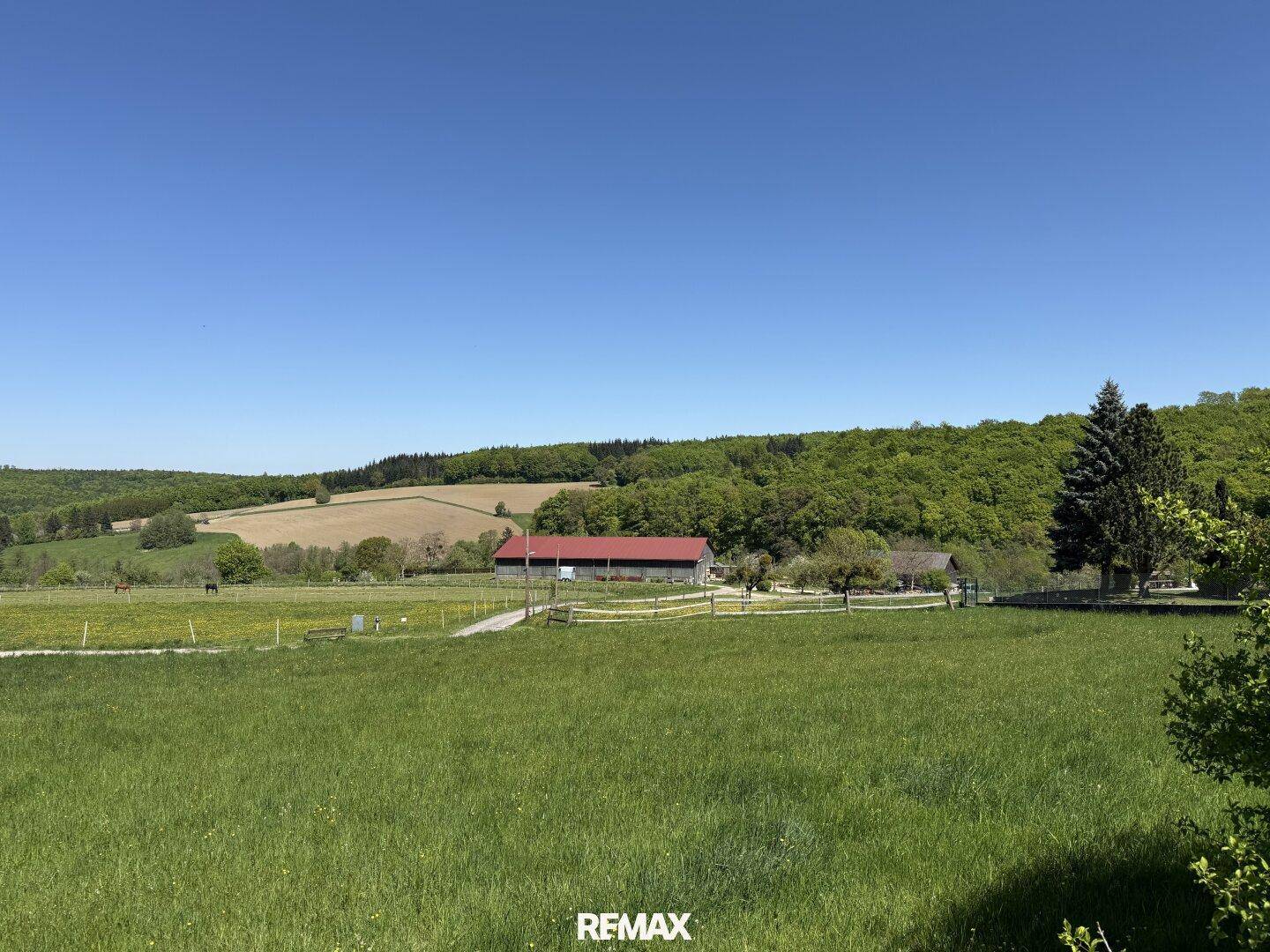 Weitläufiger Blick über grüne Felder und Wälder unter strahlend blauem Himmel.