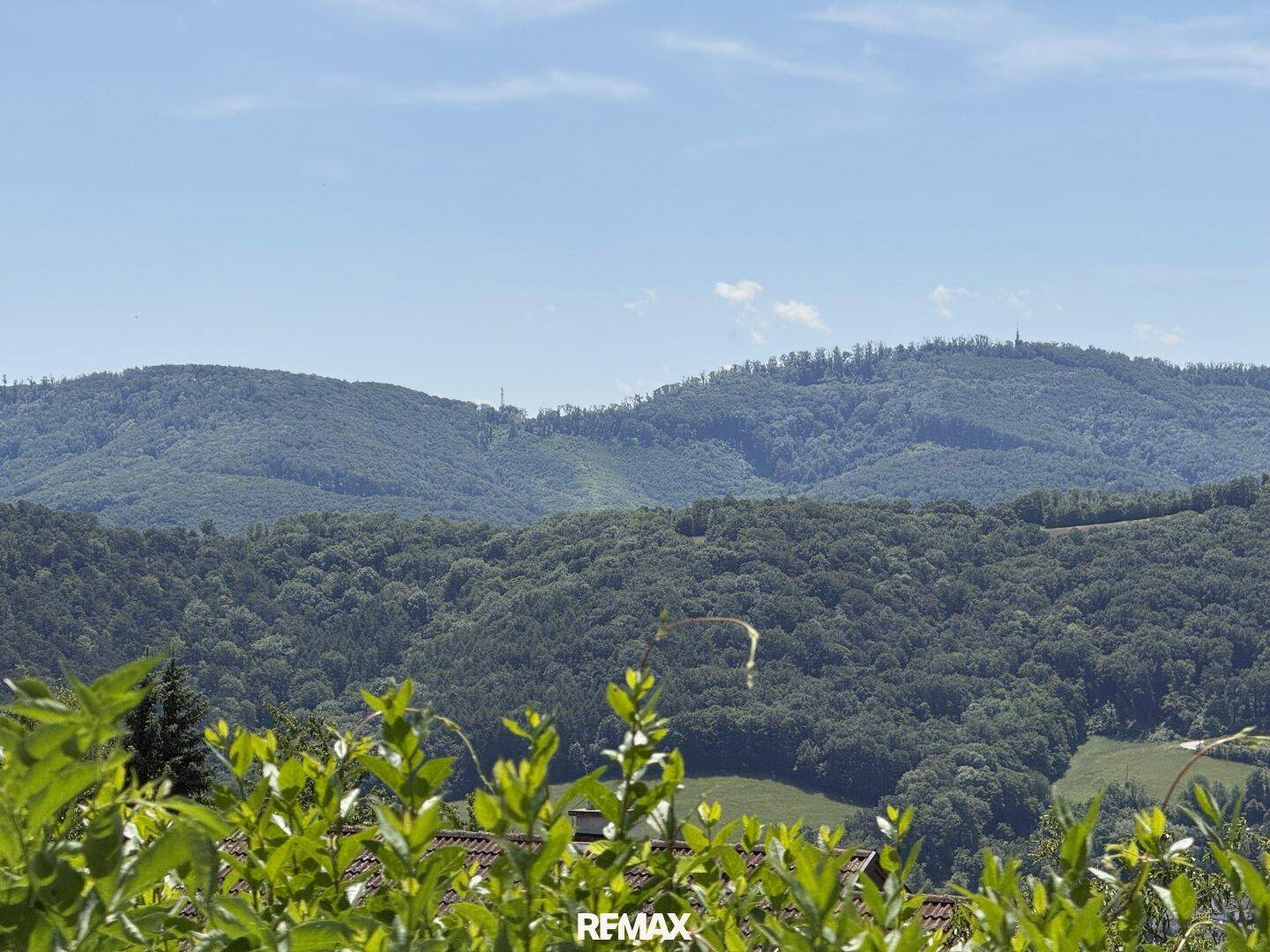 Weitläufiger Blick auf bewaldete Hügel und grüne Landschaft unter einem klaren blauen Himmel.