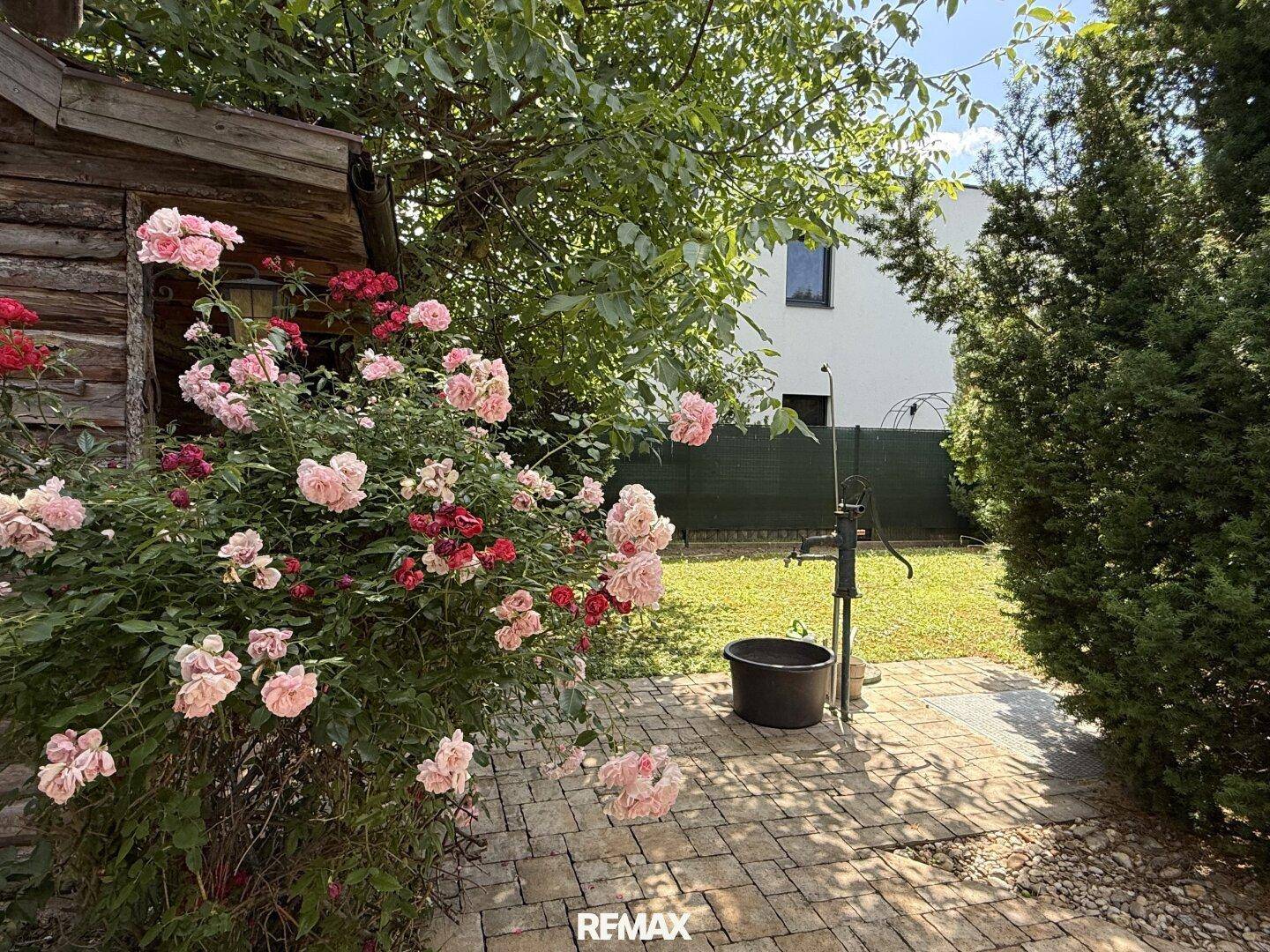 Blühender Rosengarten mit einer Wasserpumpe und gepflastertem Weg, umgeben von üppigen Grünflächen.