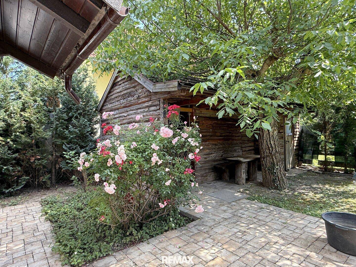 Idyllischer Gartenbereich mit rustikalem Holzschuppen, blühenden Rosen und einem großen Baum im Sonnenschein.