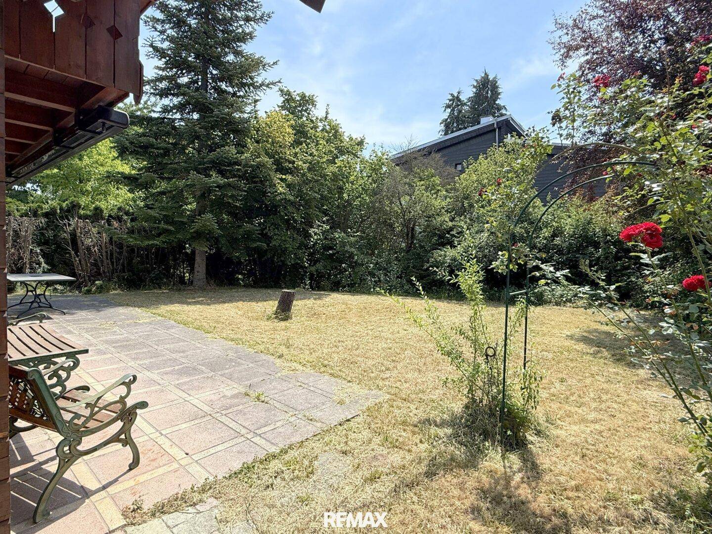 Sonniger Gartenbereich mit gepflasterter Terrasse und Rasenfläche umgeben von Bäumen.