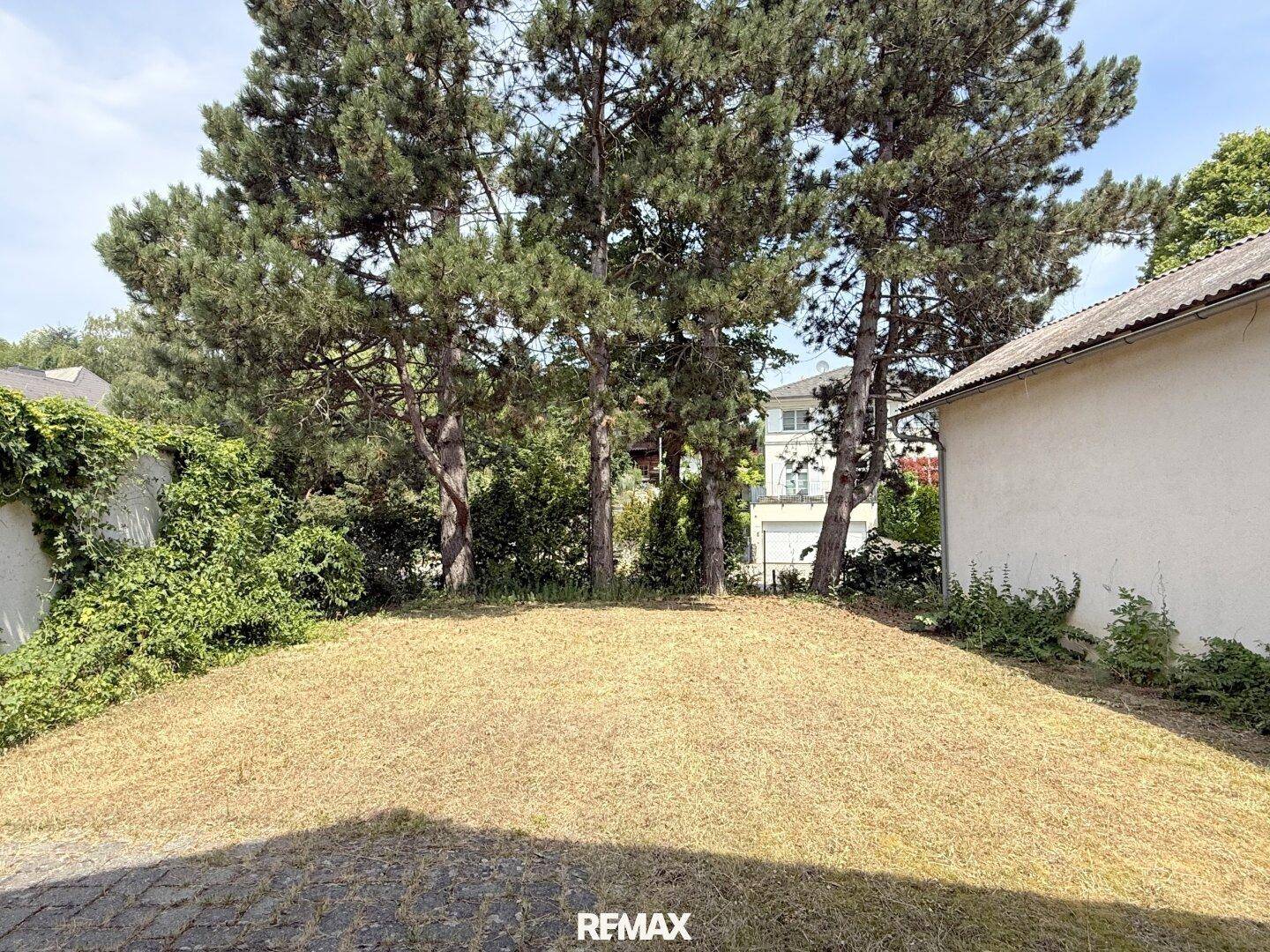 Große Rasenfläche im Garten mit hohen Bäumen und viel Grün.