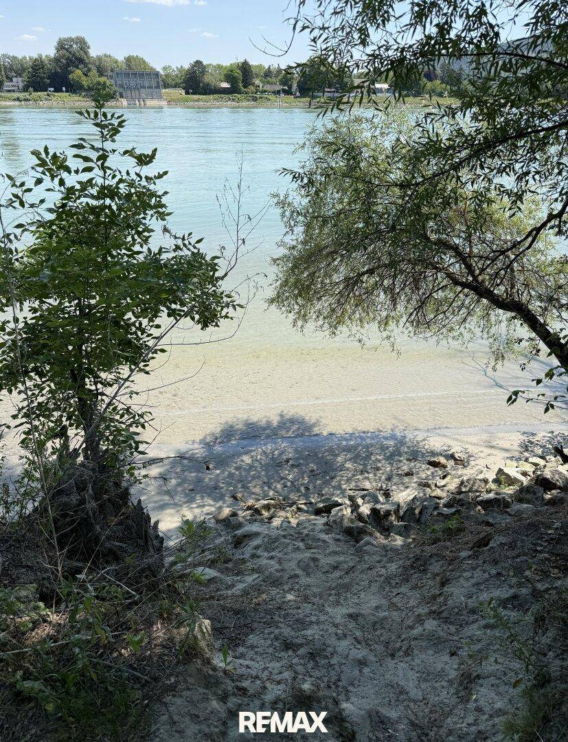 Malerischer Blick auf einen Fluss mit Uferbewuchs und klarem Wasser an einem sonnigen Tag.