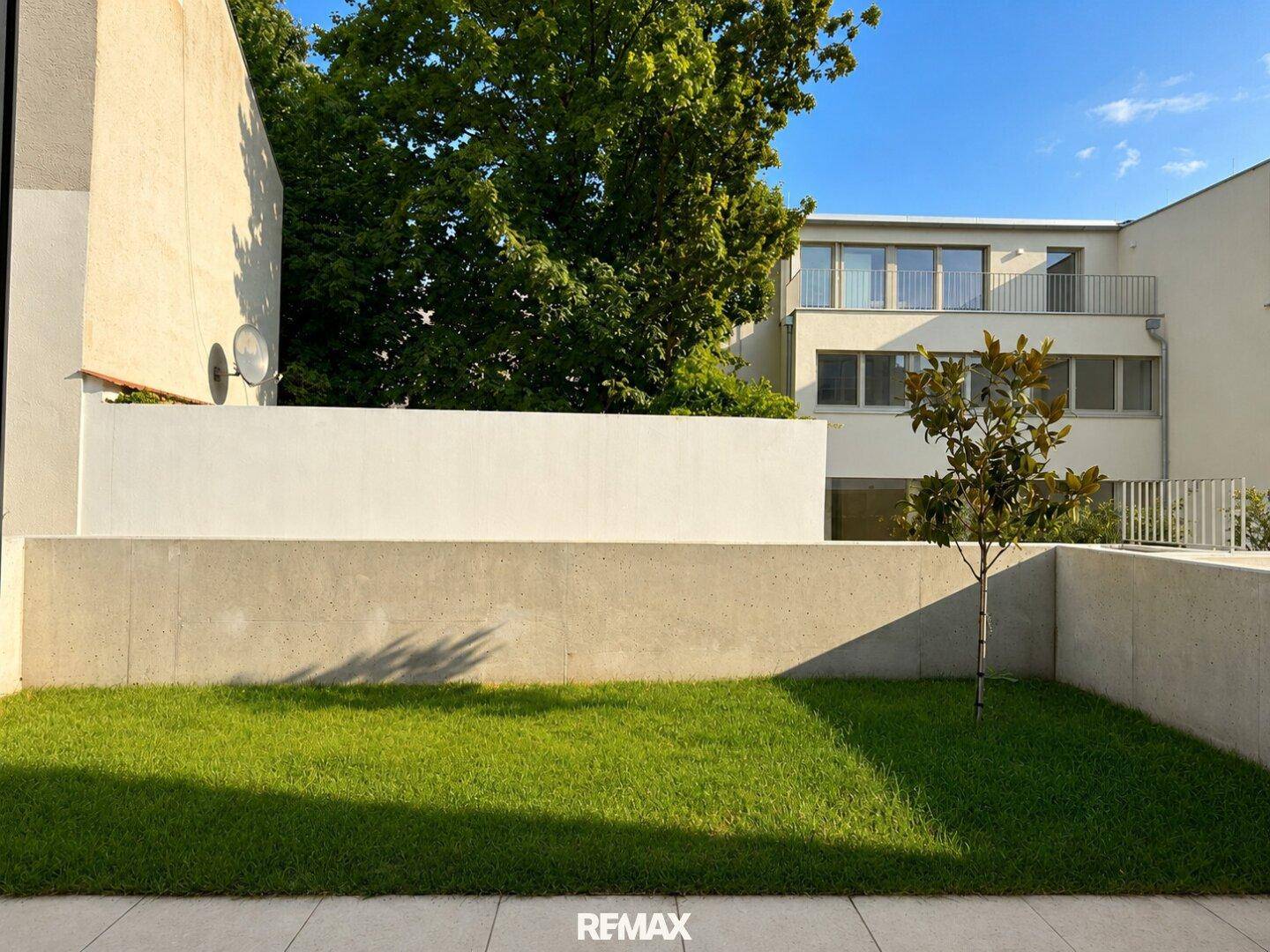 Kleiner, gepflegter Gartenbereich mit jungem Baum und moderner Umrandung.