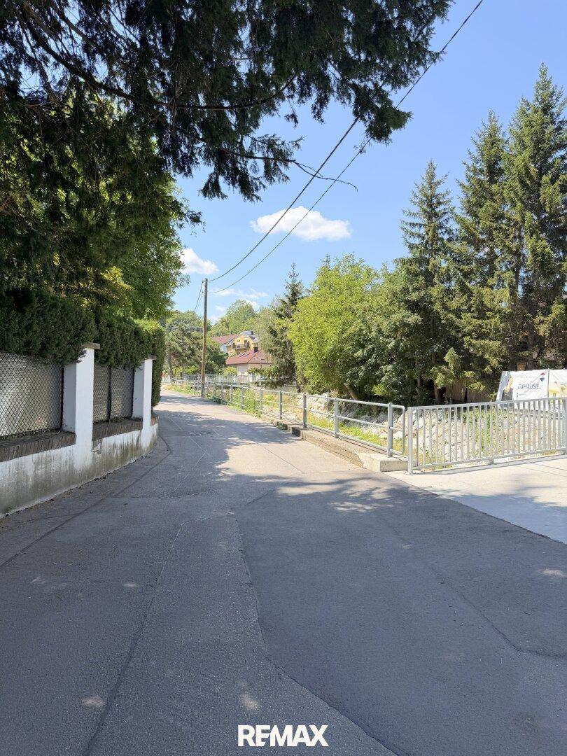 Ruhige Straße mit Bäumen und einem Zaun, die in eine ländliche Umgebung führt.