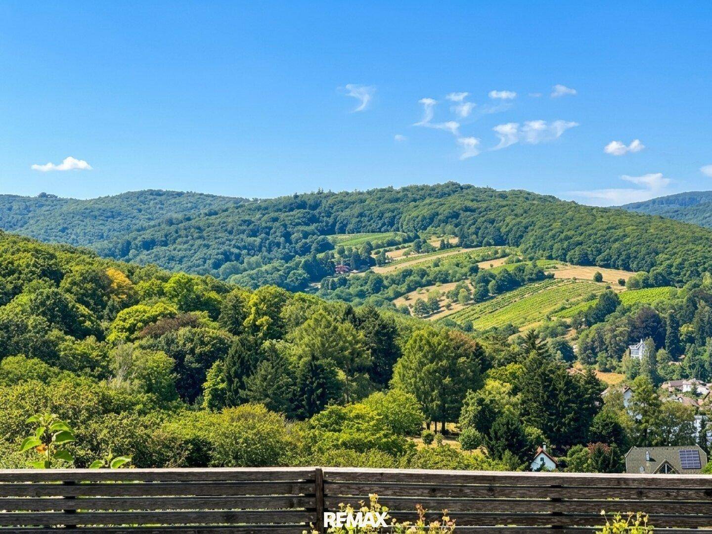 Malerischer Panoramablick über die bewaldeten Hügel und Weinberge der Umgebung.