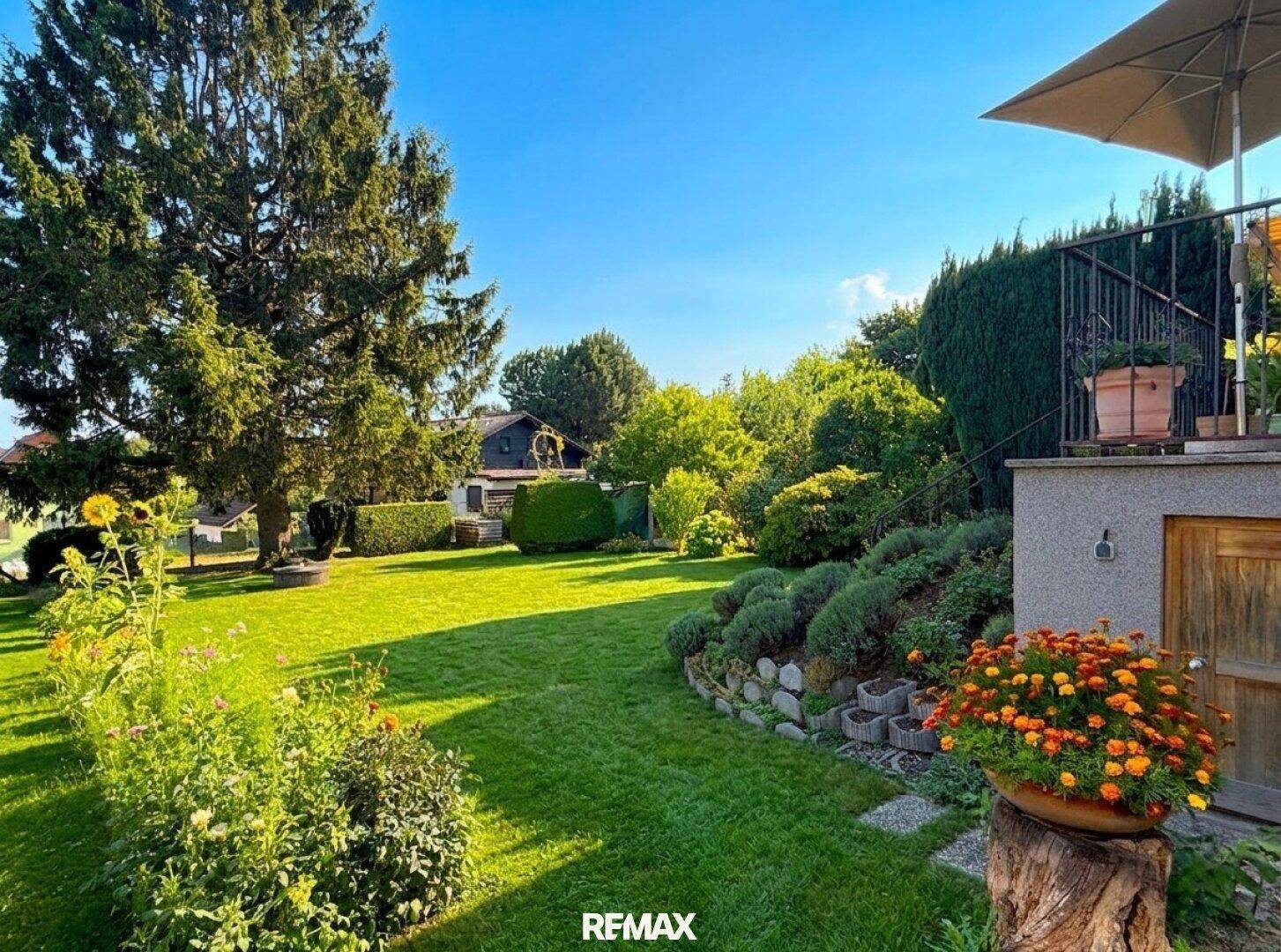 Sonniger Gartenbereich mit großer Rasenfläche und Blick auf die Terrasse.