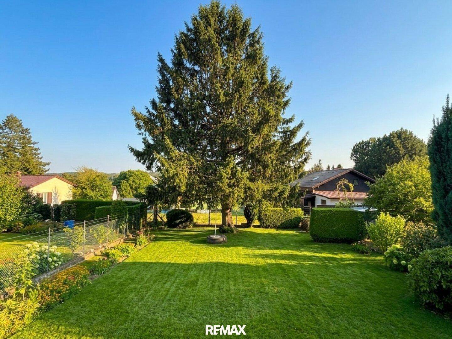 Großer, gepflegter Garten mit altem Nadelbaum und viel Rasenfläche.