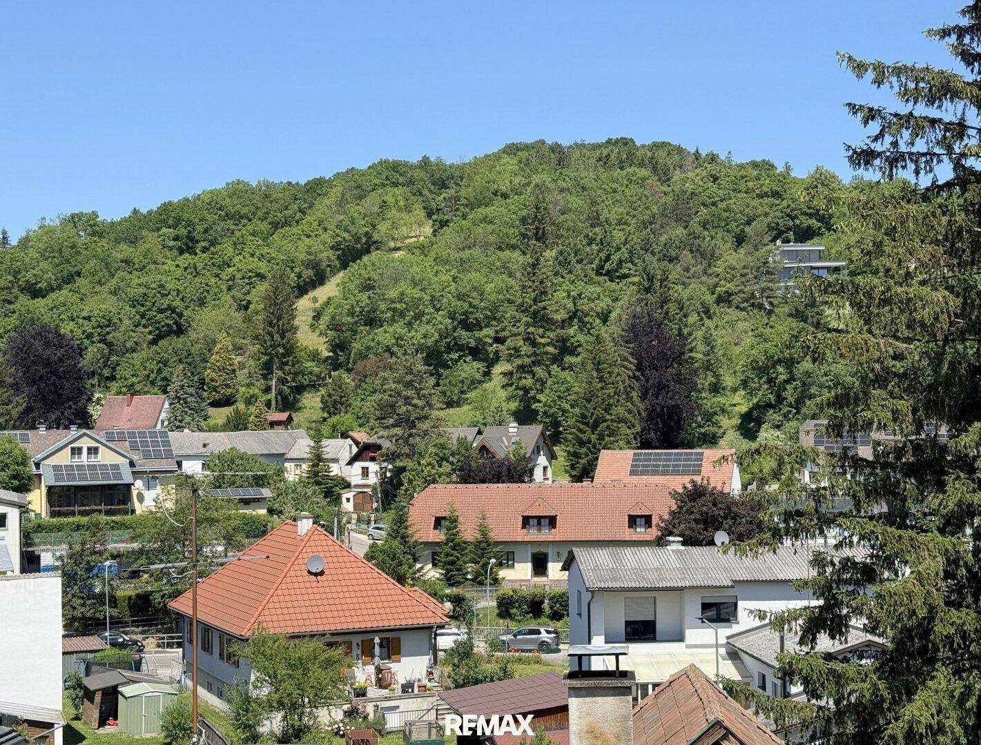 Ausblick