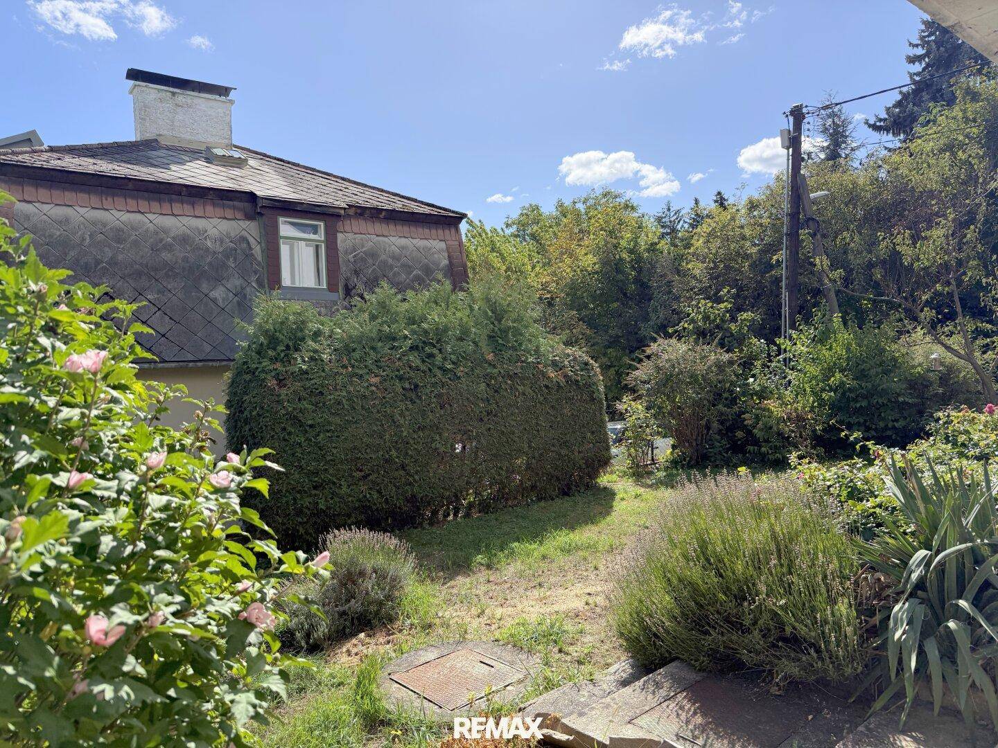 Naturbelassener Gartenbereich mit verschiedenen Pflanzen und Blick auf ein Nebengebäude.