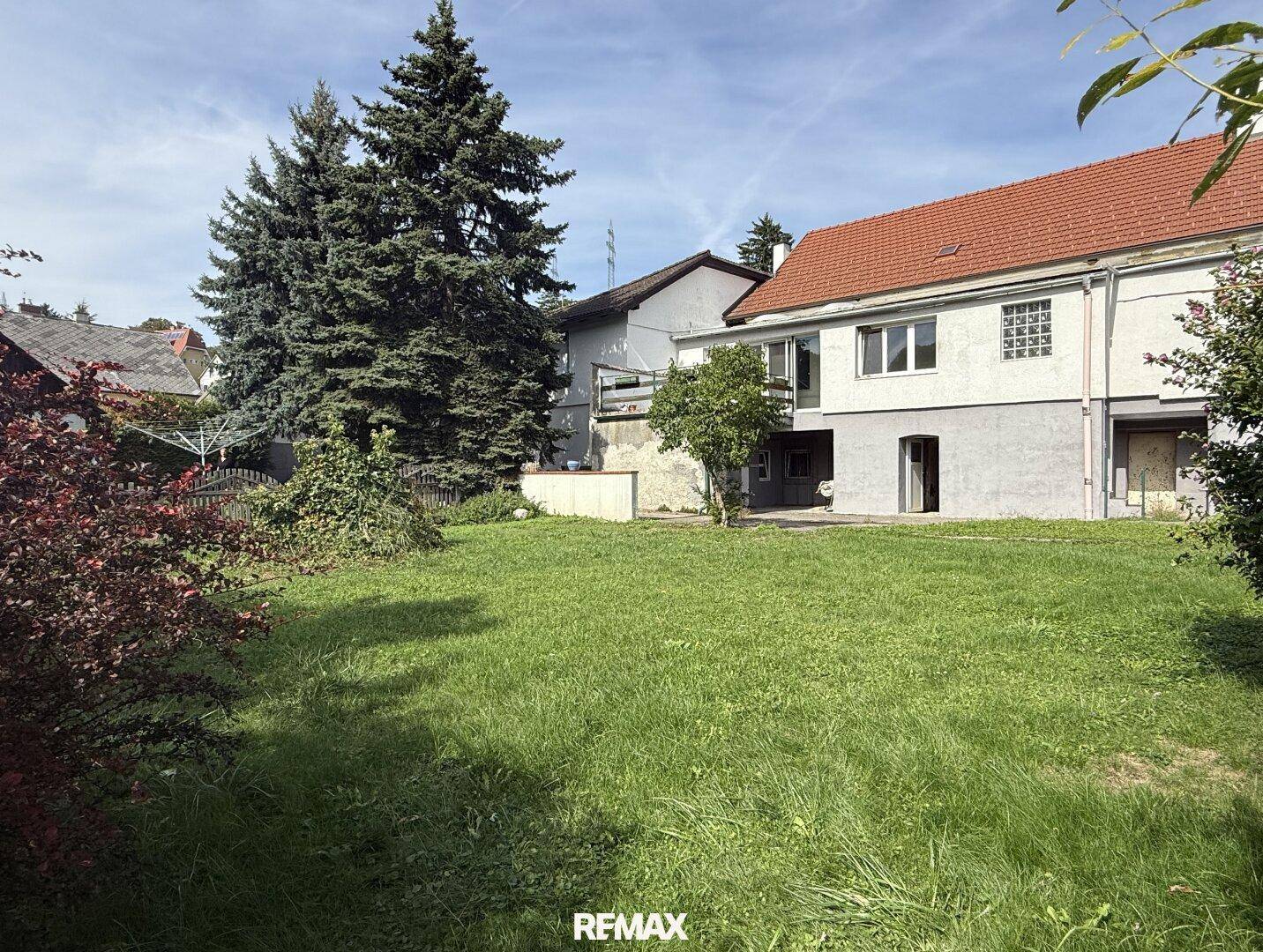 Weitläufiger grüner Garten mit Rasenfläche und hohen Bäumen im Hintergrund.