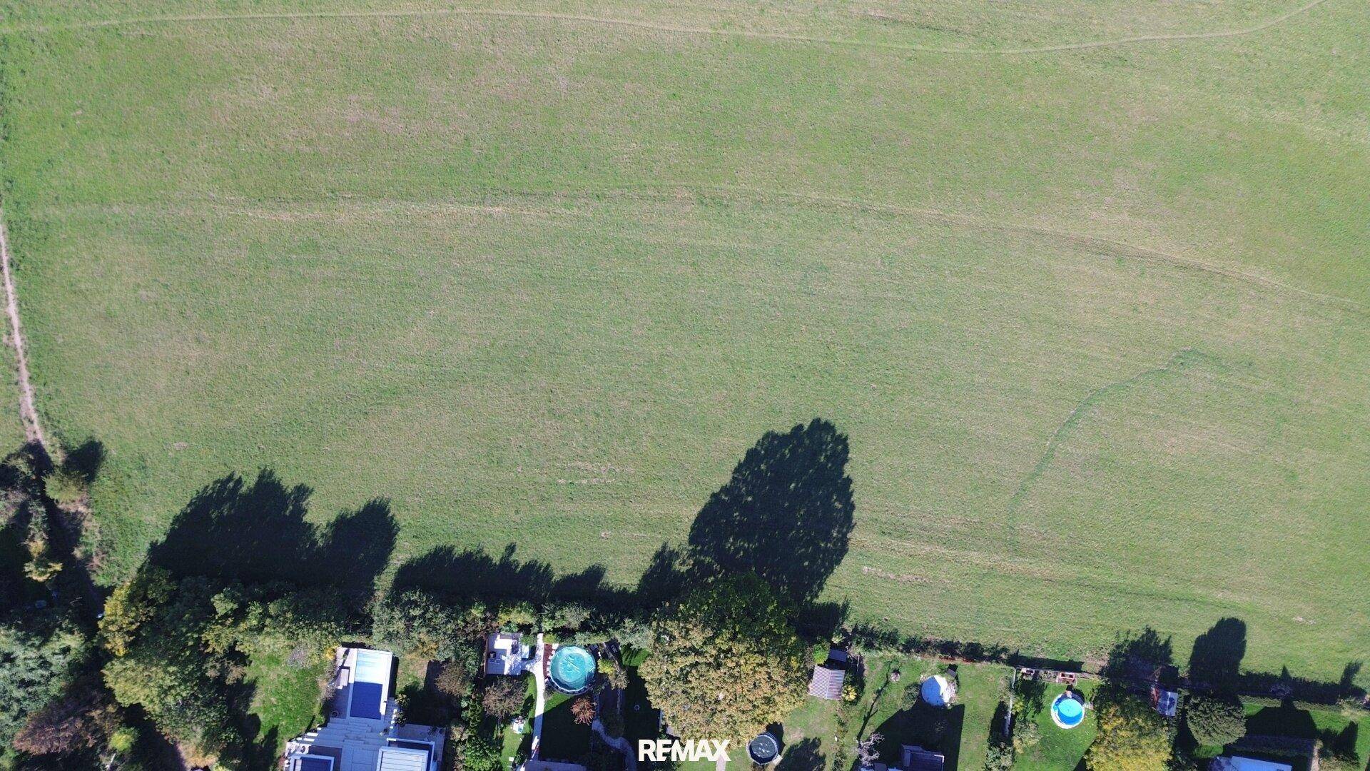 Luftaufnahme einer weitläufigen grünen Wiese angrenzend an eine Wohnsiedlung mit Gärten.