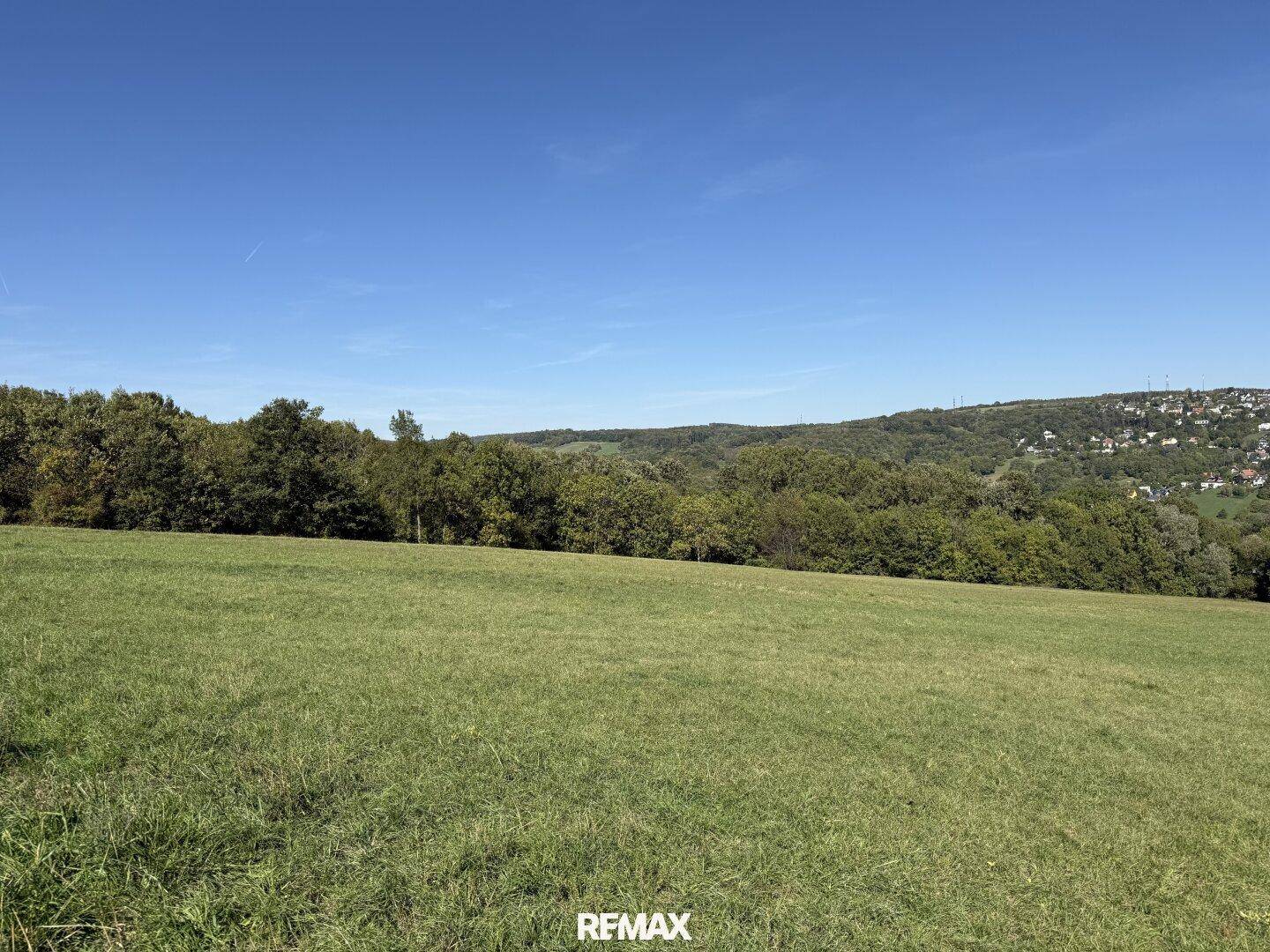 Ausgedehnte grüne Wiesen und Wälder mit einer Siedlung am Horizont unter blauem Himmel.