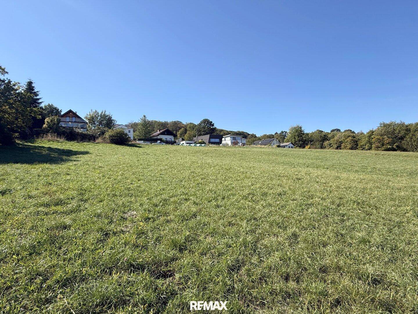 Weite grüne Wiese mit vereinzelten Häusern am Horizont unter strahlend blauem Himmel.