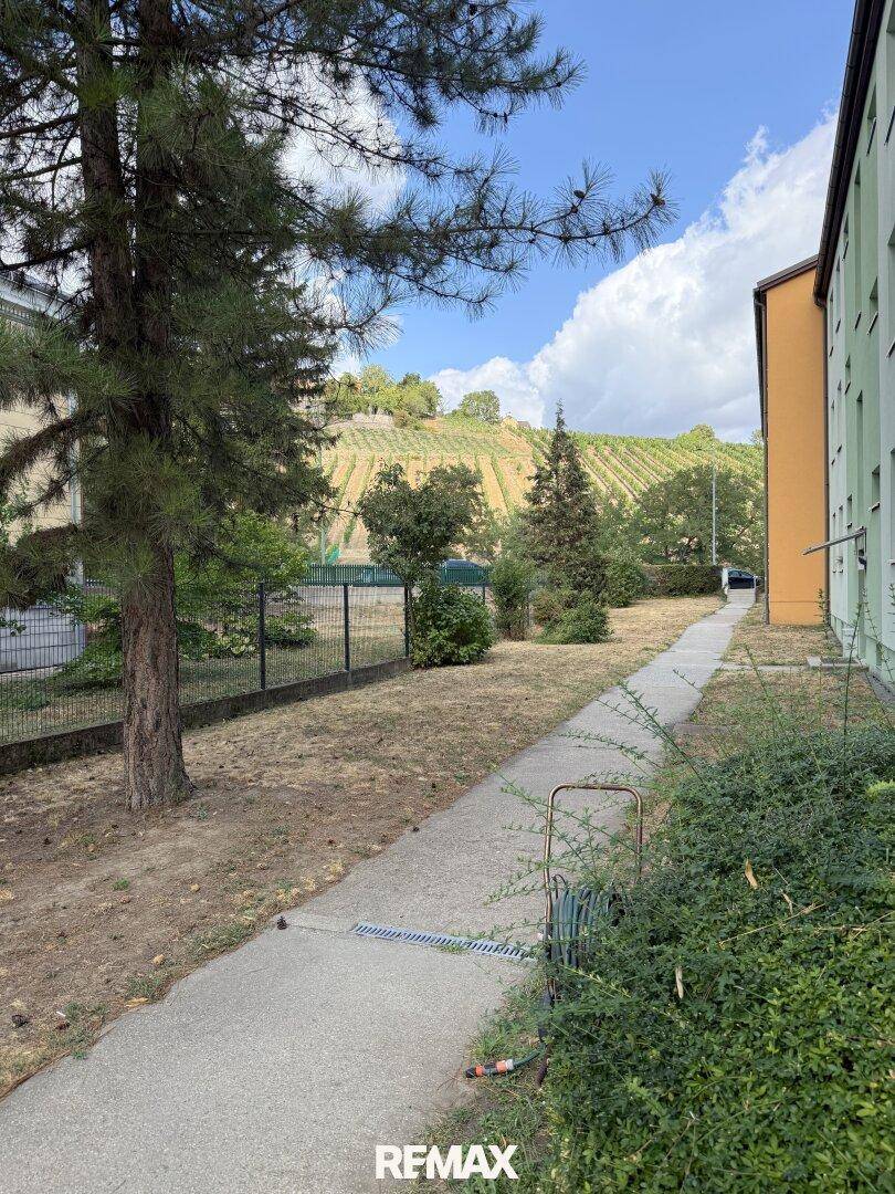 Außenbereich des Gebäudes mit Bäumen und einem Weg, im Hintergrund sind Weinberge sichtbar.