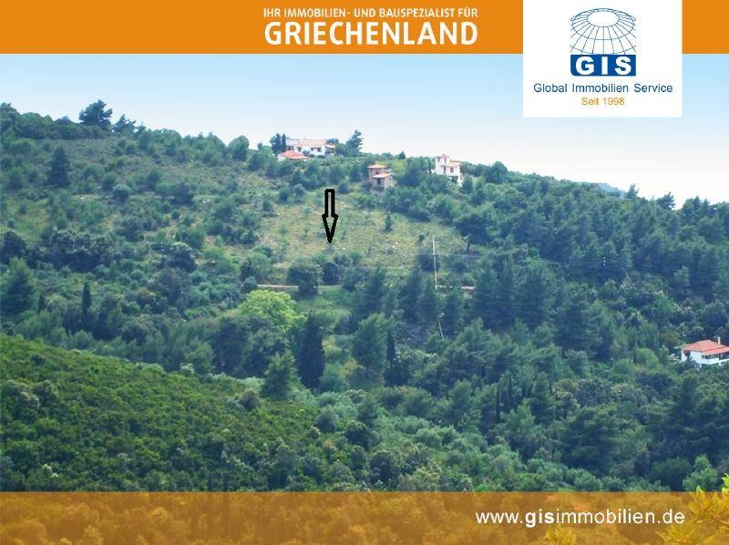Grüner Berghang mit vereinzelten Häusern und einem markierten Grundstücksbereich.