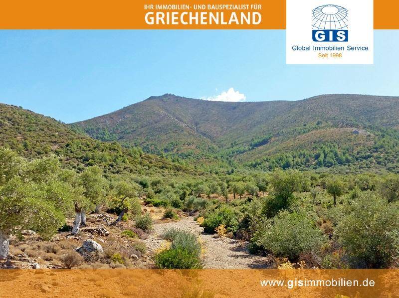 Natur pur im Rücken des Grundstücks