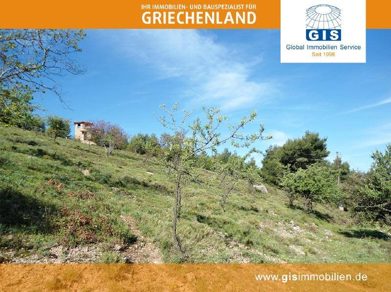 Naturbelassenes, hügeliges Gelände mit Gras und jungen Bäumen unter blauem Himmel.