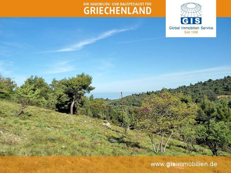 Weitläufiges, leicht abfallendes Grundstück mit mediterraner Vegetation und Meerblick in der Ferne.