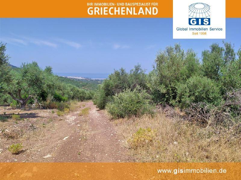 Unbefestigter Weg durch Olivenhaine mit Blick auf das Meer in der Ferne.