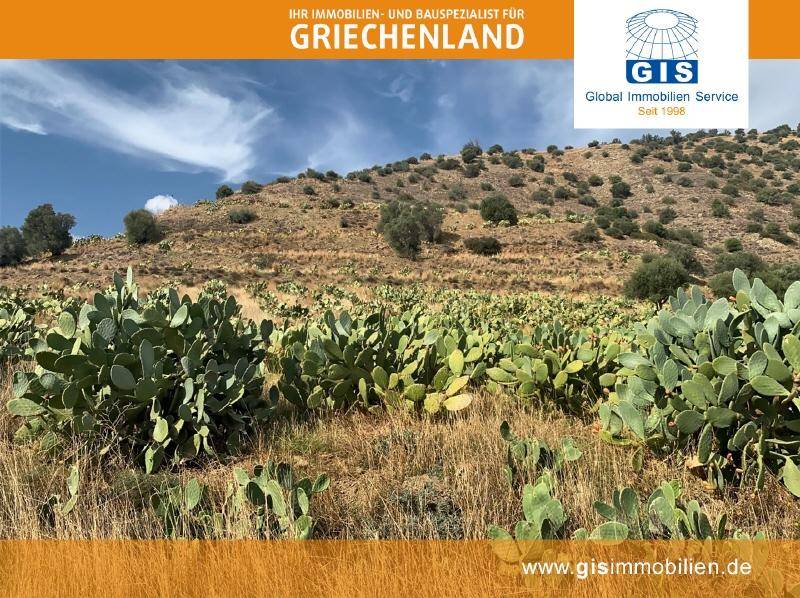 Beschaffenheit des Grundstückes