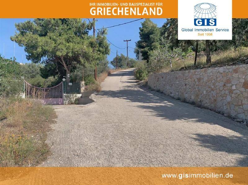 Unbefestigte Zufahrtsstraße zu einem Grundstück, umgeben von Bäumen und einer traditionellen Steinmauer.