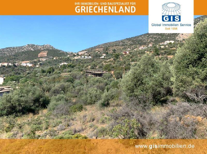 Hügelige Landschaft mit mediterraner Vegetation und Blick auf die bergige Umgebung unter klarem Himmel.
