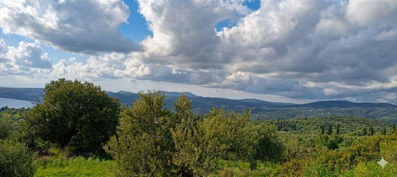 Weitläufige grüne Landschaft mit Bäumen und Bergen im Hintergrund, unter einem dramatischen Wolkenhimmel.