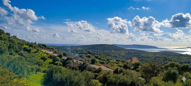 Hügelige Landschaft mit üppiger Vegetation, einer Straße und einem See am Horizont unter weitem Himmel.