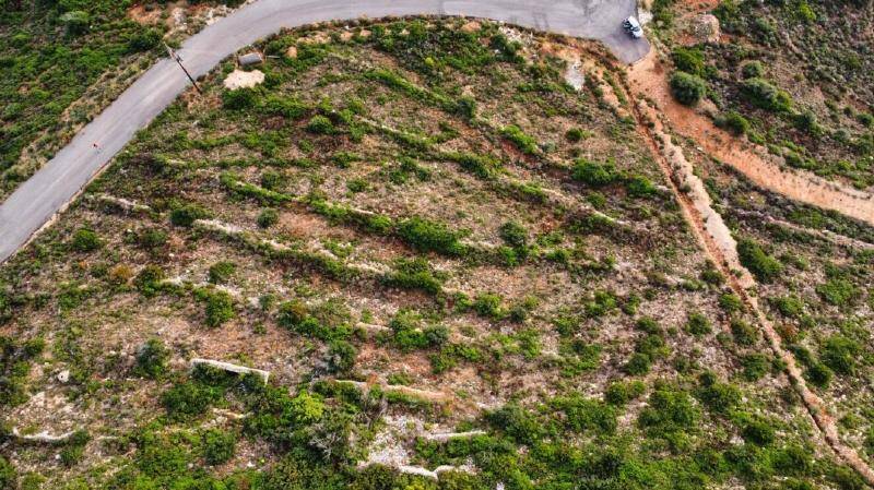 Luftaufnahme eines terrassierten Grundstücks mit mediterraner Vegetation und einer Zufahrtsstraße in der Nähe.