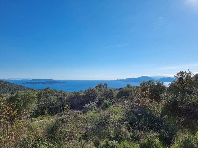 Sonniger Ausblick auf das weite, ruhige Meer mit einer Küstenlinie und grünen Hügeln im Vordergrund.