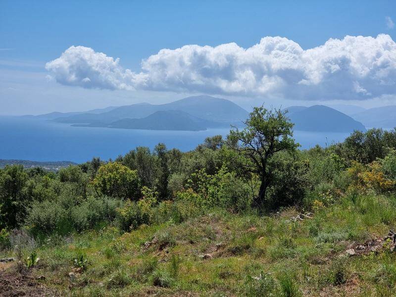 Idyllische Landschaft mit weiten grünen Hügeln, dem blauen Meer und majestätischen Bergen am Horizont.