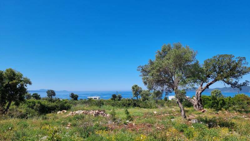 Sonnige Landschaft mit grünen Bäumen und einem weiten Blick auf das blaue Meer und die Küstenlinie.
