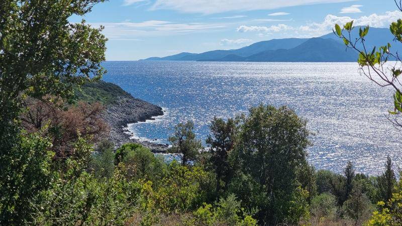 Panoramablick auf die felsige Küste und das weite, glitzernde Meer, umrahmt von üppiger grüner Vegetation.