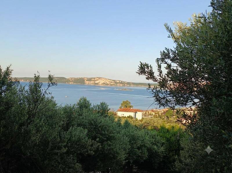 Malerischer Ausblick auf das Meer und die Küste mit einem Dorf und vielen Olivenbäumen.