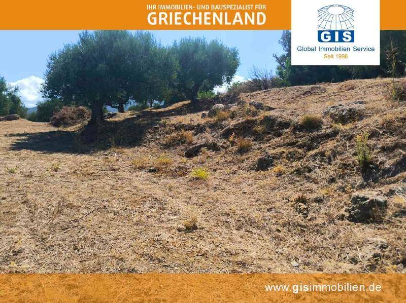 Weitläufiges, trockenes Gelände mit mediterraner Vegetation und sanften Hügeln im Hintergrund.