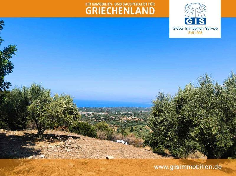 Hügelige Landschaft mit Olivenbäumen und einem weiten Blick auf das Meer in der Ferne.