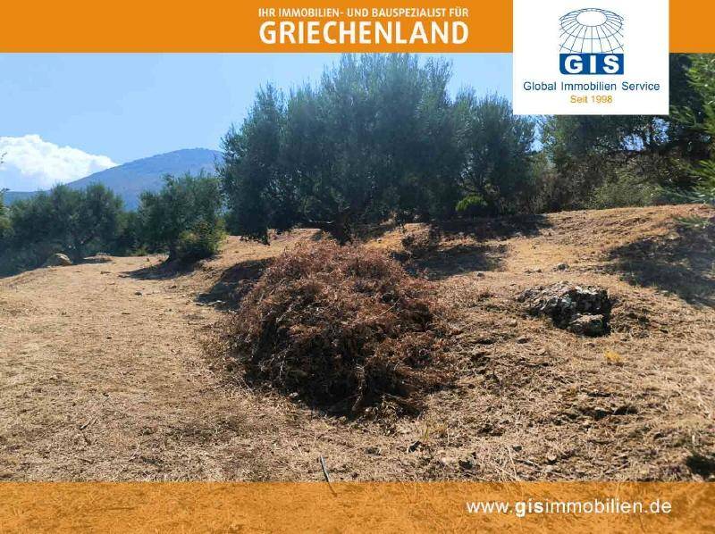Naturbelassene Landschaft mit trockener Vegetation und einem Haufen Schnittgut unter blauem Himmel.