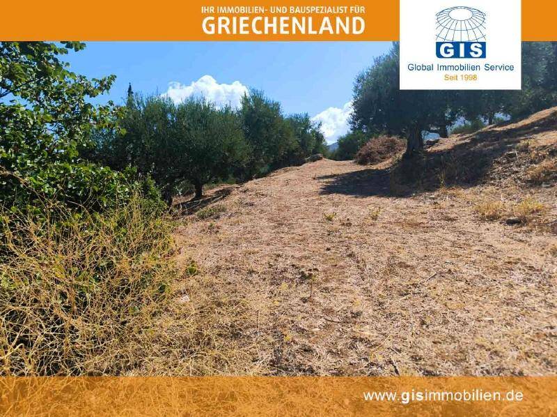 Trockene, sonnige Landschaft mit vereinzelten Bäumen und Büschen unter blauem Himmel.