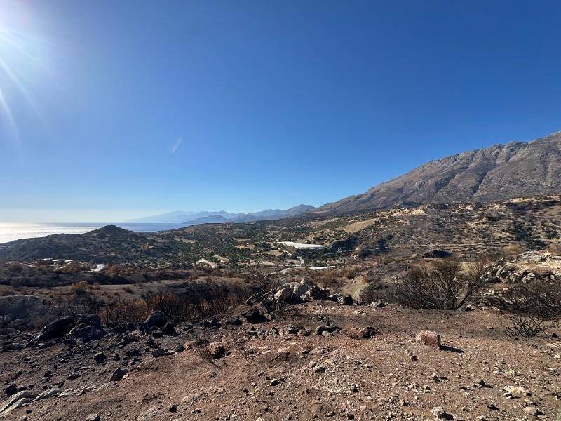 Weitläufige Berglandschaft mit Blick auf das Meer und die hügelige Umgebung unter klarem Himmel.