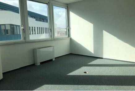 Sonnige Büroecke mit zwei Fenstern, die viel Tageslicht hereinlassen und Schattenmuster auf dem Teppich erzeugen.
