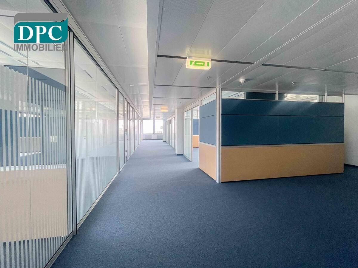 Langer Büroflur mit Glaswänden, Teppichboden und modernen Trennwänden, der zu verschiedenen Büros führt.