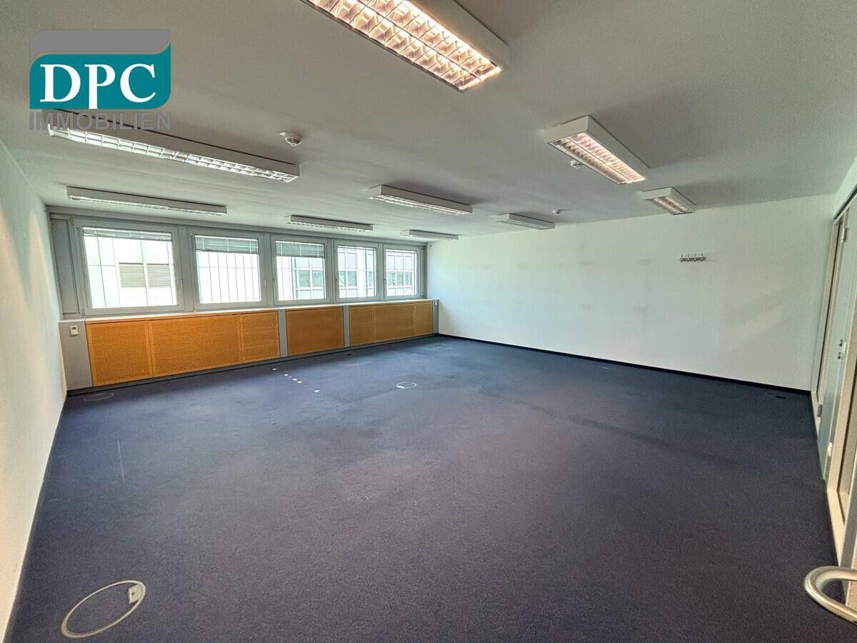 Helles und geräumiges Büro mit blauem Teppichboden und großen Fenstern, bietet viel Tageslicht.