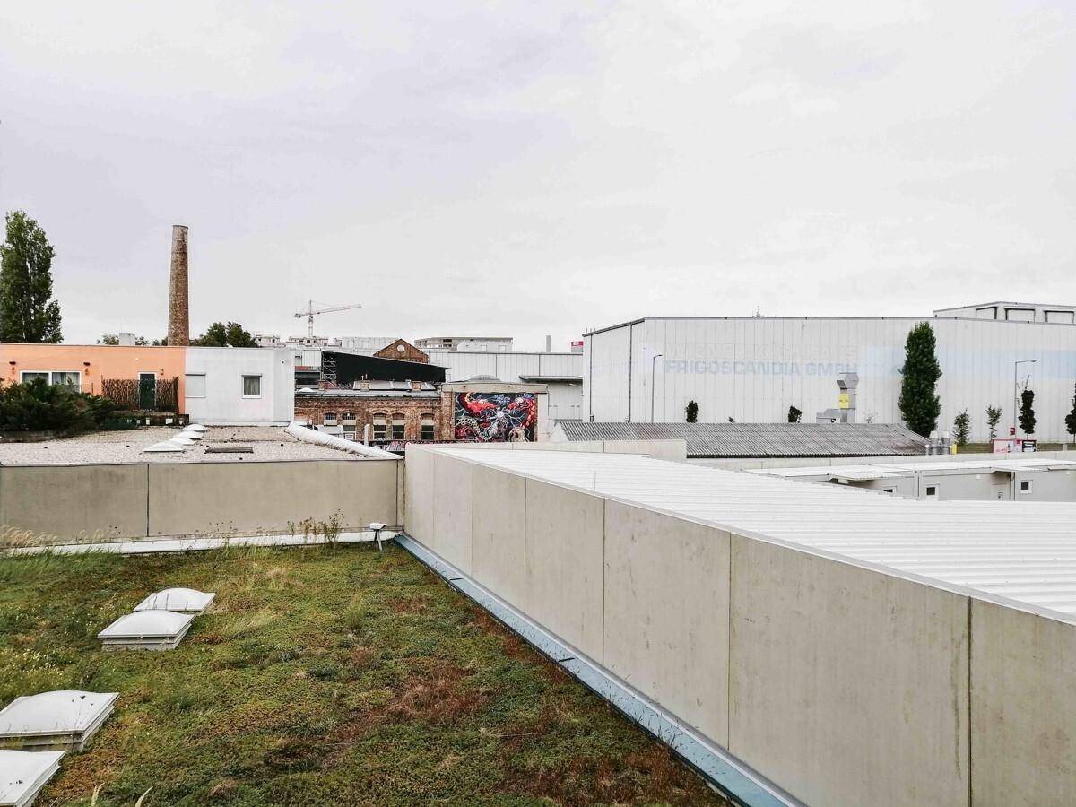 Dachlandschaft mit begrüntem Flachdach und Blick auf umliegende Industriegebäude.