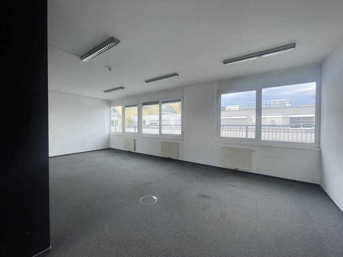 Leerer Büroraum mit Teppichboden, weißen Wänden und einer Reihe von Fenstern mit Ausblick.