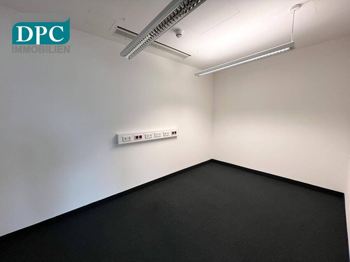 Leerer Büroraum mit dunklem Teppichboden, weißen Wänden und effizienter Deckenbeleuchtung für Arbeitsbereiche.
