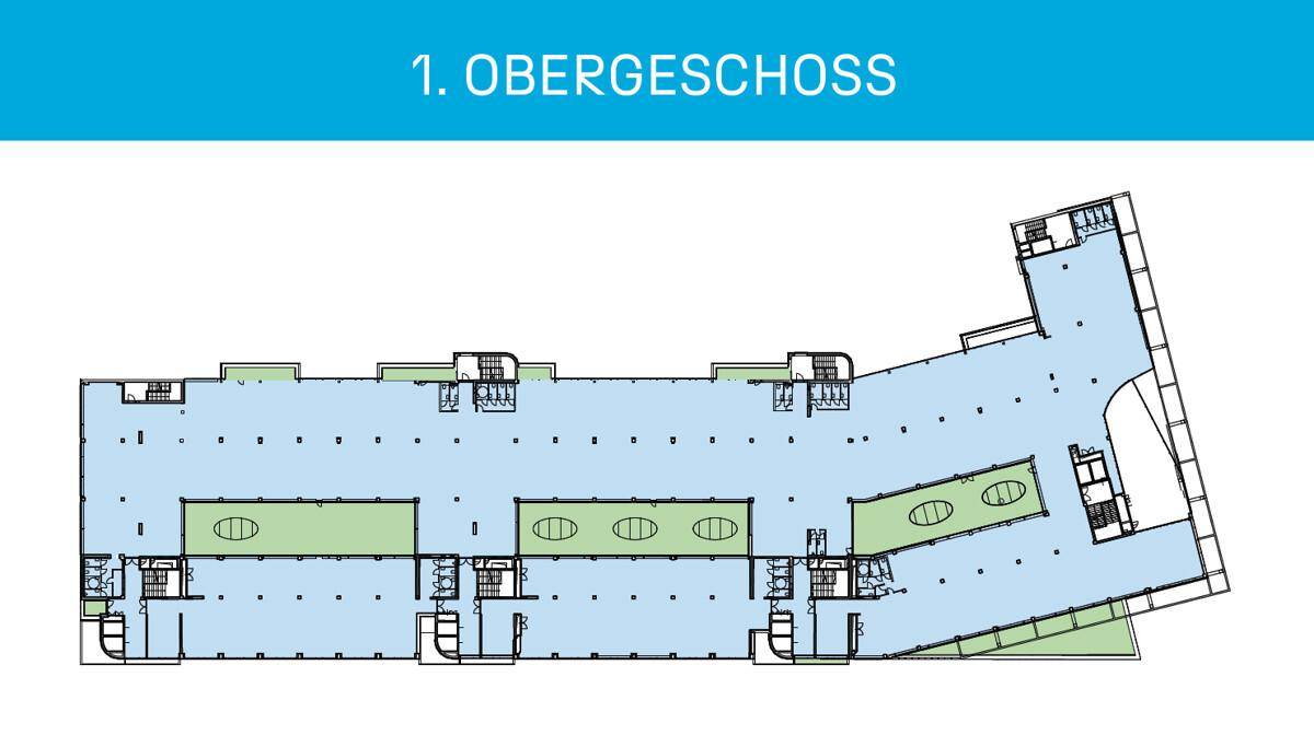 Plan 1.OG