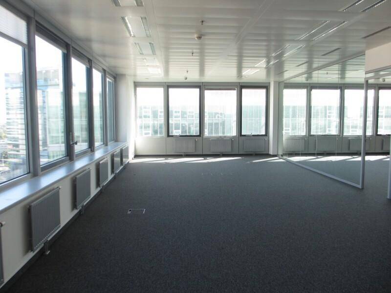 Heller Büroraum mit großen Fenstern, Teppichboden und viel Tageslicht.