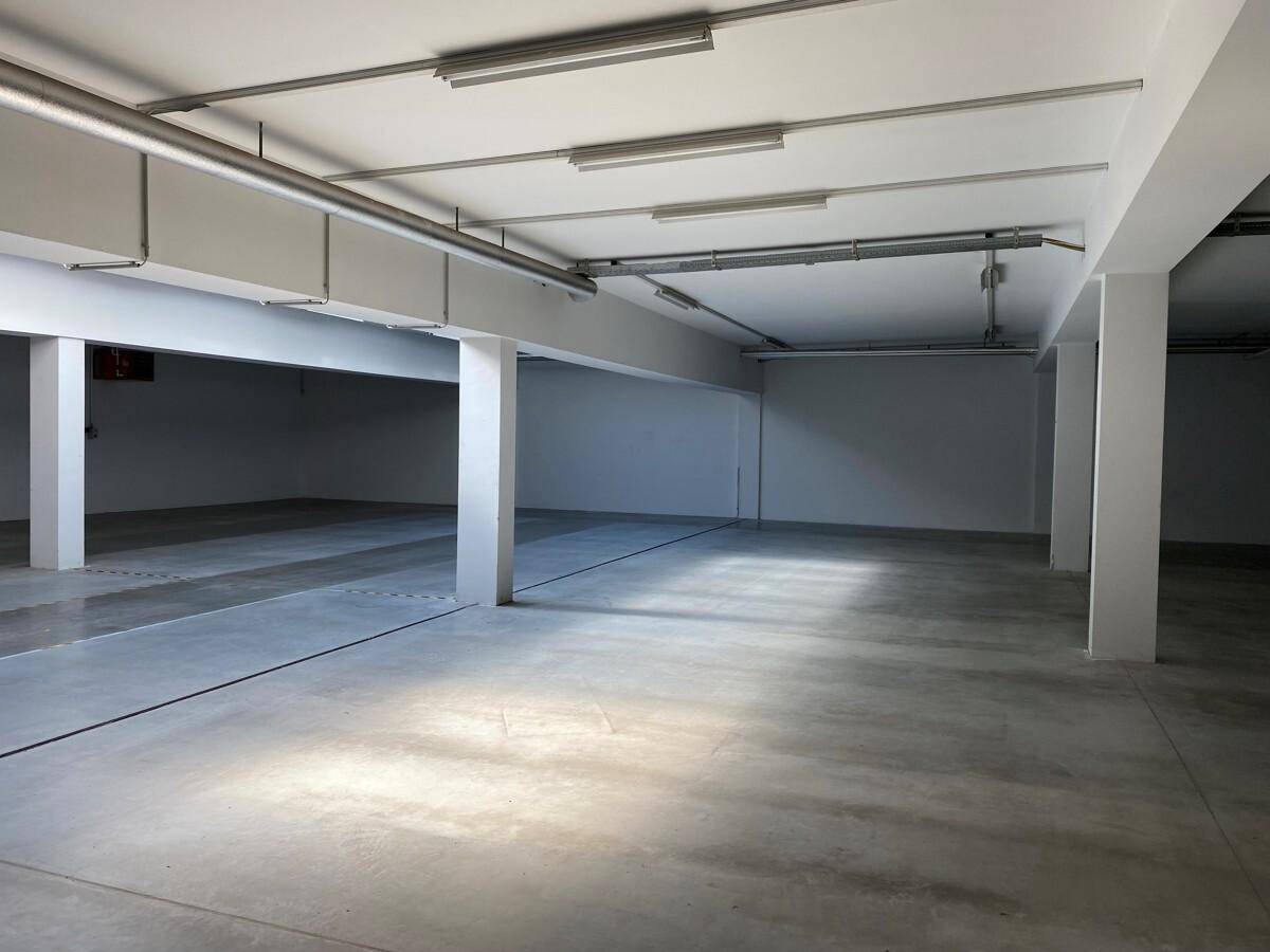 Großer, leerer Gewerberaum mit Betonboden, Säulen und Deckenbeleuchtung, bereit zur Nutzung.